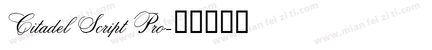 Citadel Script Pro字体转换